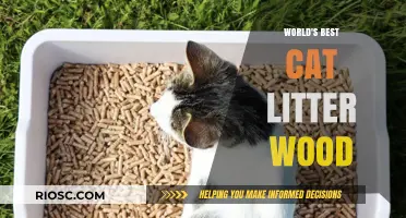 Revolutionize Your Feline Friend's Comfort: Discover the World's Best Cat Litter Wood!