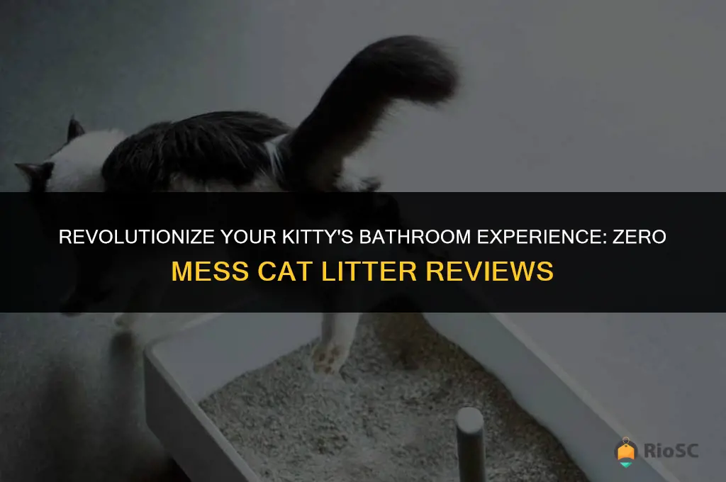 worlds best cat litter zero mess reviews
