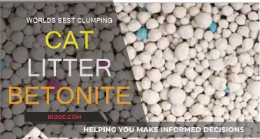 Unveiling the Superior Choice: Bentonite Clumping Cat Litter - A Game-Changer for Feline Hygiene