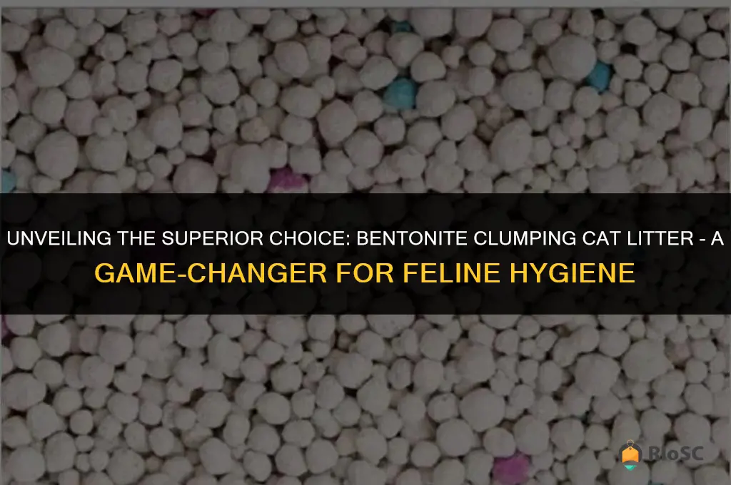 worlds best clumping cat litter betonite