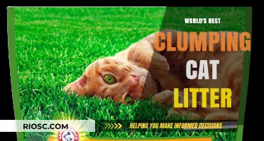 Revolutionary Clumping Cat Litter: The Ultimate Solution for Odor Control and Easy Cleanup