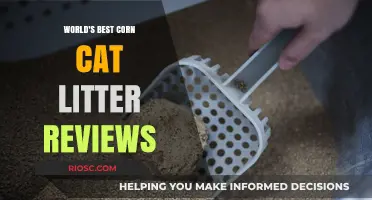 Top-Rated Corn Cat Litter: A Comprehensive Review of the Best Options for Your Feline Friend