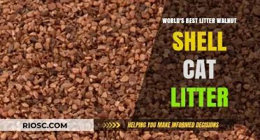 Revolutionize Your Cat's Comfort: Discover the World's Best Litter - Walnut Shell Cat Litter!