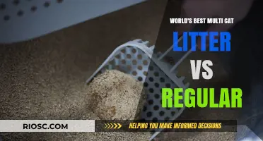 Exploring the Superiority: Multi-Cat Litter versus Regular Litter - Which Reigns Supreme?