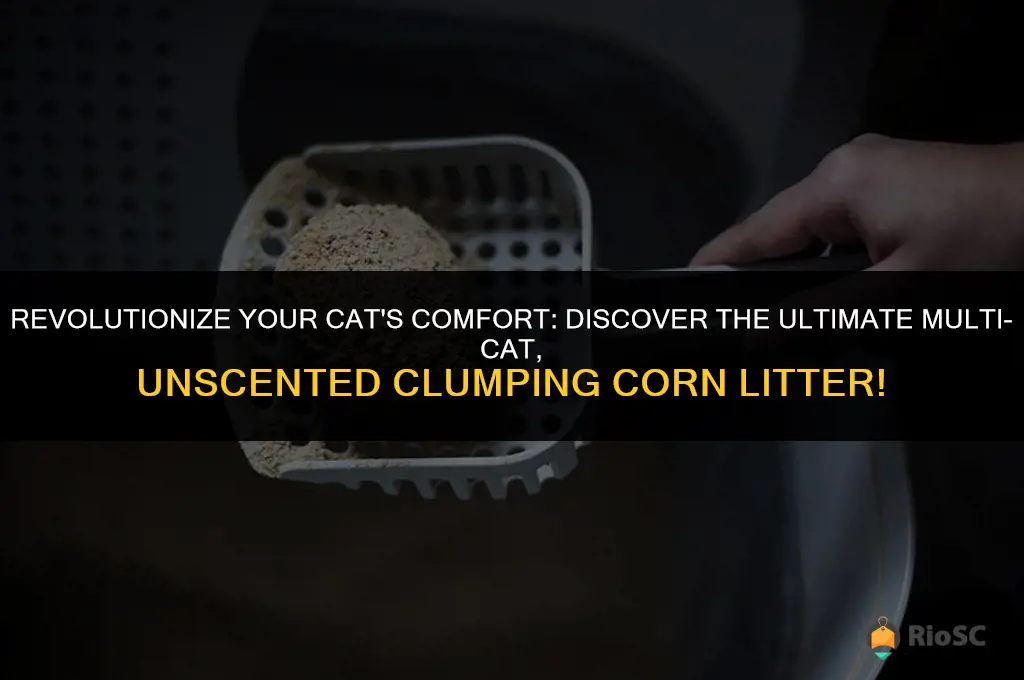 worlds best multi-cat unscented clumping corn cat litter
