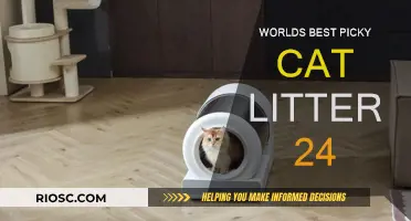 Revolutionize Your Cat's Comfort: Discover the Ultimate Picky Cat Litter Solution