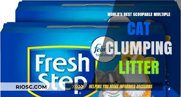 Revolutionize Your Cat's Litter Box: Discover the Ultimate Scoopable, Multi-Cat Clumping Litter!