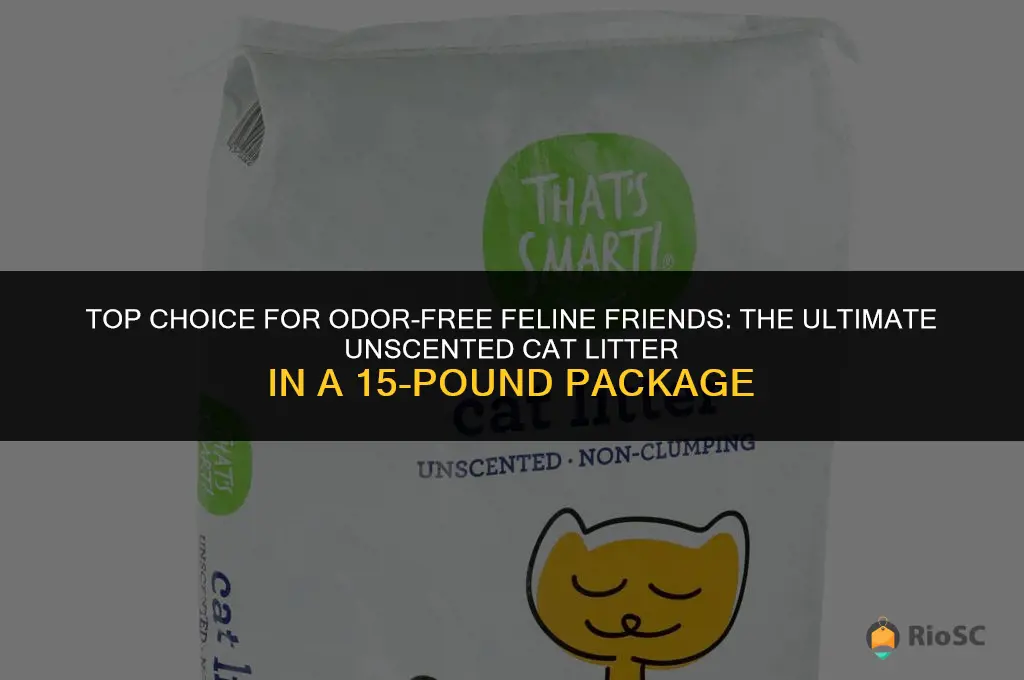worlds best unscented cat litter 15 lbs