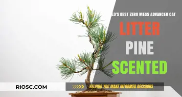 Revolutionize Your Cat's Litter Box: Discover the Ultimate Zero-Mess, Pine-Scented Solution!