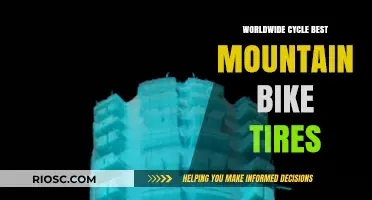 Top Worldwide Picks: Best Mountain Bike Tires for Every Terrain and Riding Style