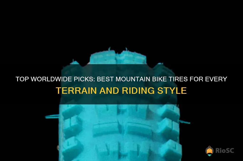 worldwide cycle best mountain bike tires