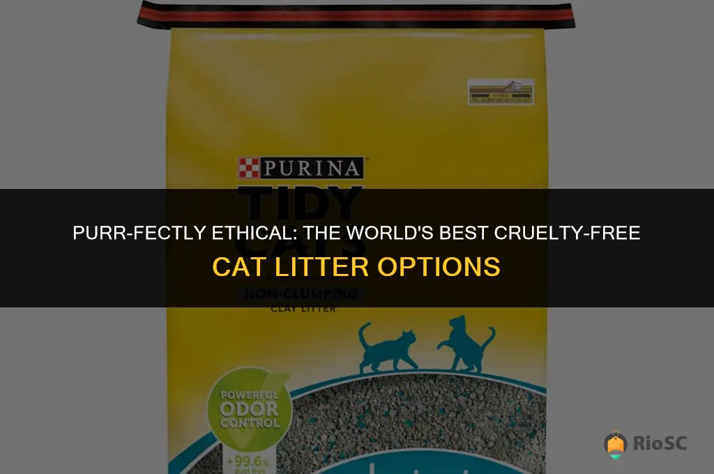 worlfs best cat litter cruelty free