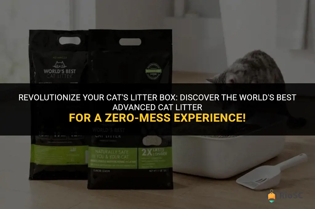 zero mess by world
