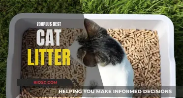 Top Picks for Your Feline Friend: Zooplus Best Cat Litter Reviewed