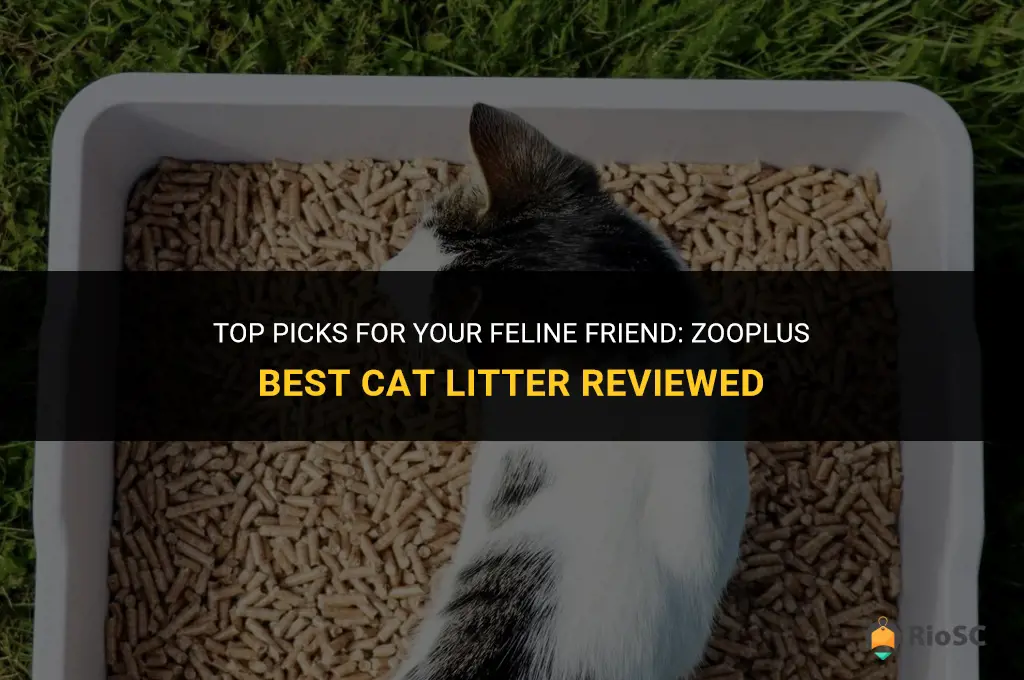 zooplus best cat litter